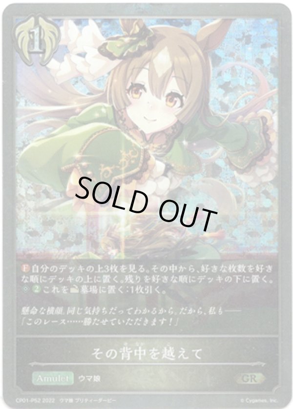 画像1: 【プレミアム】その背中を越えて (1)