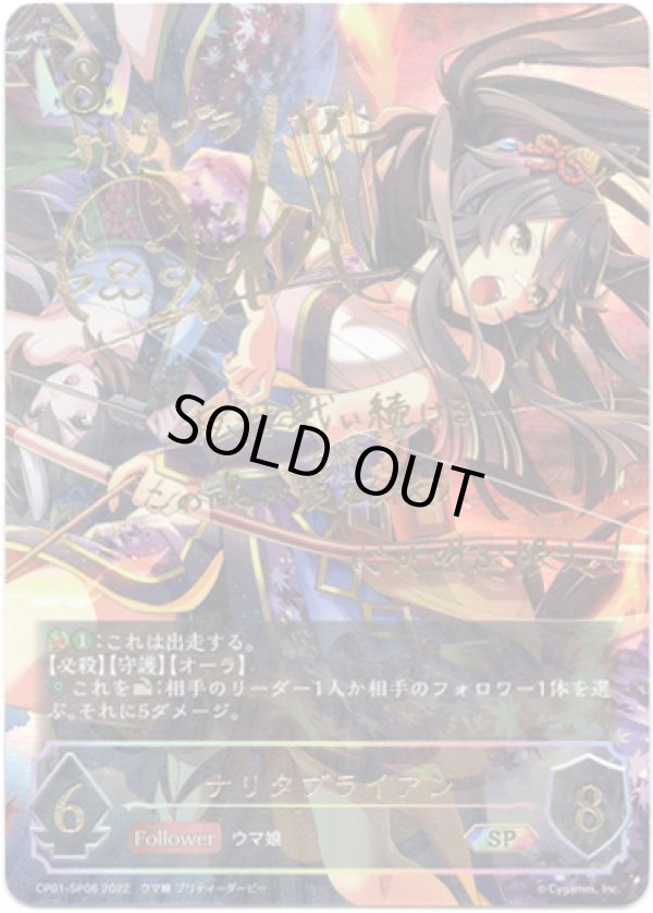 画像1: 【SP】ナリタブライアン (1)