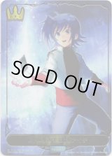 画像: 【リーダー】〔絆の導き手〕先導アイチ