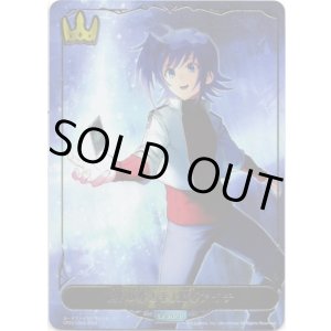 画像: 【リーダー】〔絆の導き手〕先導アイチ