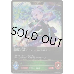 画像: ※傷有り品(返品交換対象外)【EVOLVE】コッコロ