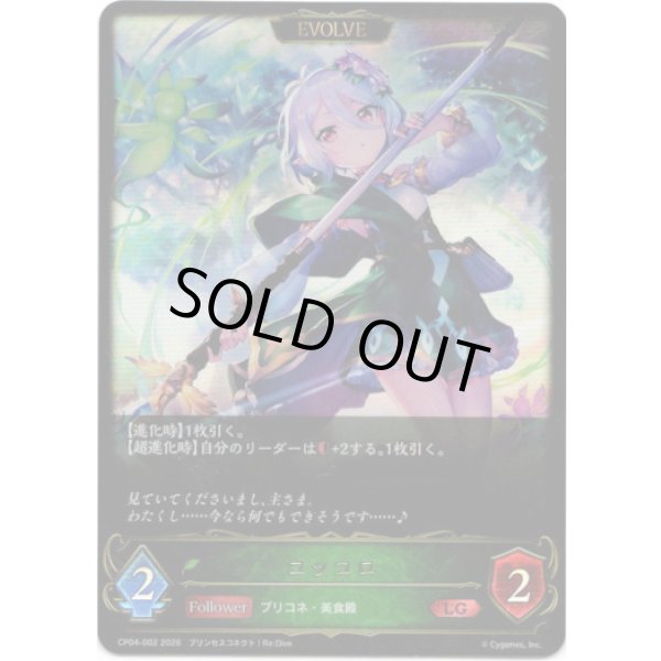 画像1: ※傷有り品（返品交換対象外）【EVOLVE】コッコロ (1)