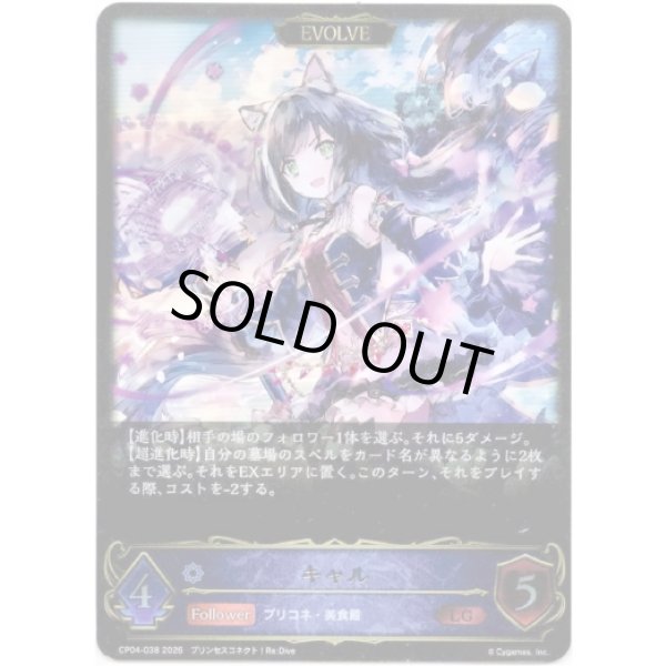 画像1: ※傷有り品（返品交換対象外）【EVOLVE】キャル (1)