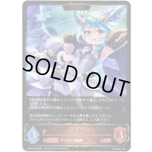 画像: ※傷有り品（返品交換対象外）【EVOLVE】シェフィ