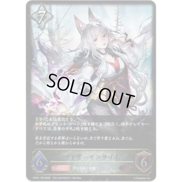 画像1: ※傷有り品（返品交換対象外）カイザーインサイト (1)