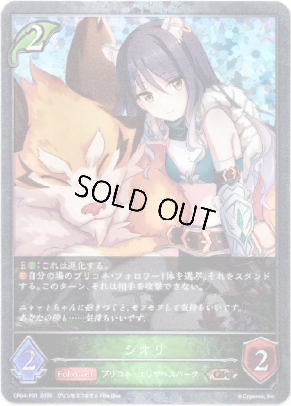 画像1: 【プレミアム】シオリ (1)