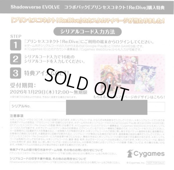 画像1: 【B】アプリ『プリンセスコネクト！Re:Dive』カスタムマイページシリアルコード (1)