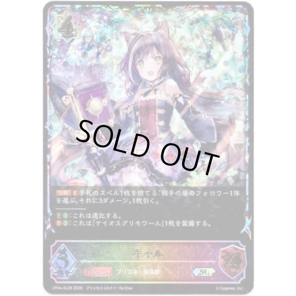 画像1: ※傷有り品（返品交換対象外）【スーパーレジェンド】キャル (1)