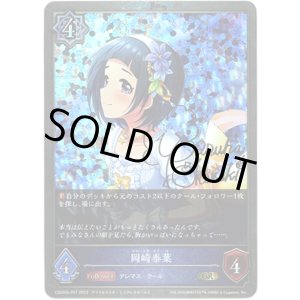 画像: 【プレミアム】岡崎泰葉