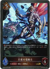 画像: 白亜の竜騎士