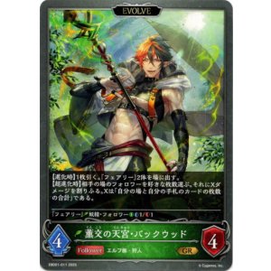 画像: 【EVOLVE】薫交の天宮・バックウッド