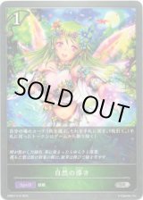 画像: 自然の導き