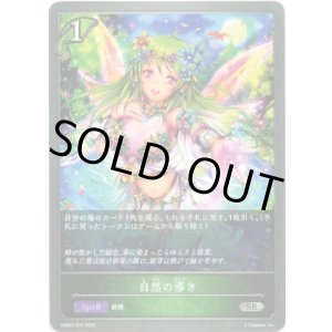 画像: 自然の導き