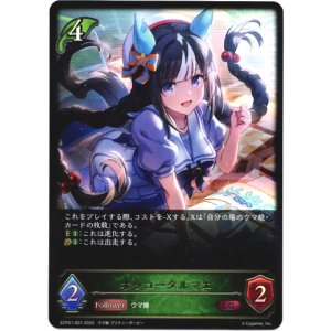 画像: ※傷有り品（返品交換対象外）ホッコータルマエ