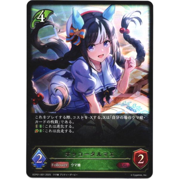 画像1: ※傷有り品（返品交換対象外）ホッコータルマエ (1)