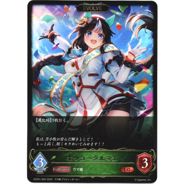 画像1: ※傷有り品（返品交換対象外）【EVOLVE】ホッコータルマエ (1)