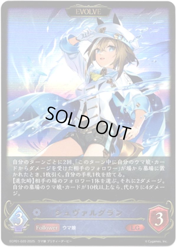 画像1: 【EVOLVE】シュヴァルグラン (1)