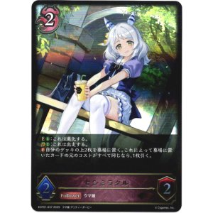 画像: ヒシミラクル