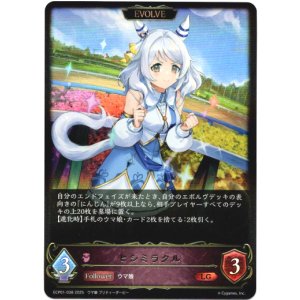 画像: 【EVOLVE】ヒシミラクル