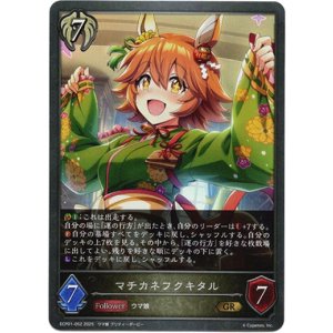 画像: マチカネフクキタル