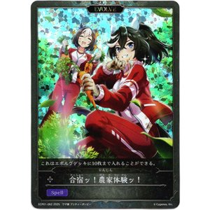 画像: 【P仕様】【EVOLVE】合宿ッ！農家体験ッ！（にんじん）