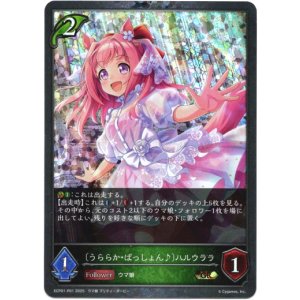 画像: 【プレミアム】〔うららか・ぱっしょん♪〕ハルウララ