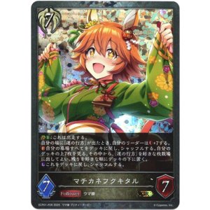 画像: 【プレミアム】マチカネフクキタル