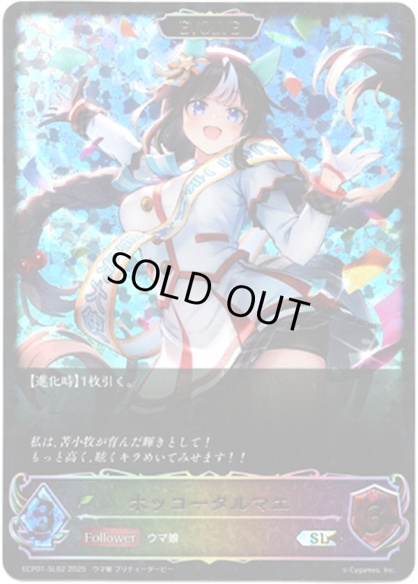 画像1: 【スーパーレジェンド】【EVOLVE】ホッコータルマエ (1)