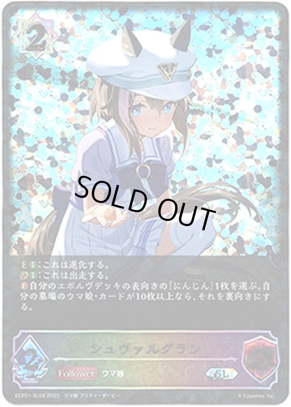 画像1: 【スーパーレジェンド】シュヴァルグラン (1)