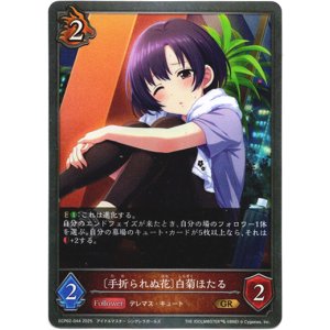 画像: 〔手折られぬ花〕白菊ほたる