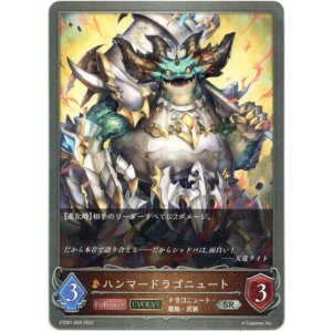 画像: 【EVOLVE】ハンマードラゴニュート