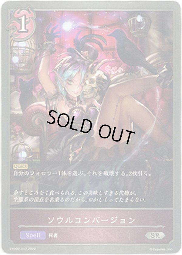 画像1: ソウルコンバージョン (1)