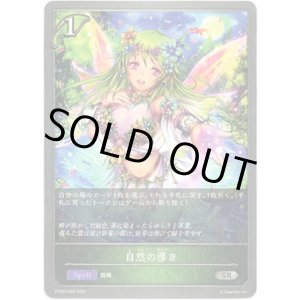 画像: 自然の導き