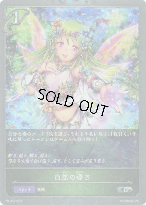 画像1: 【プレミアム】自然の導き (1)