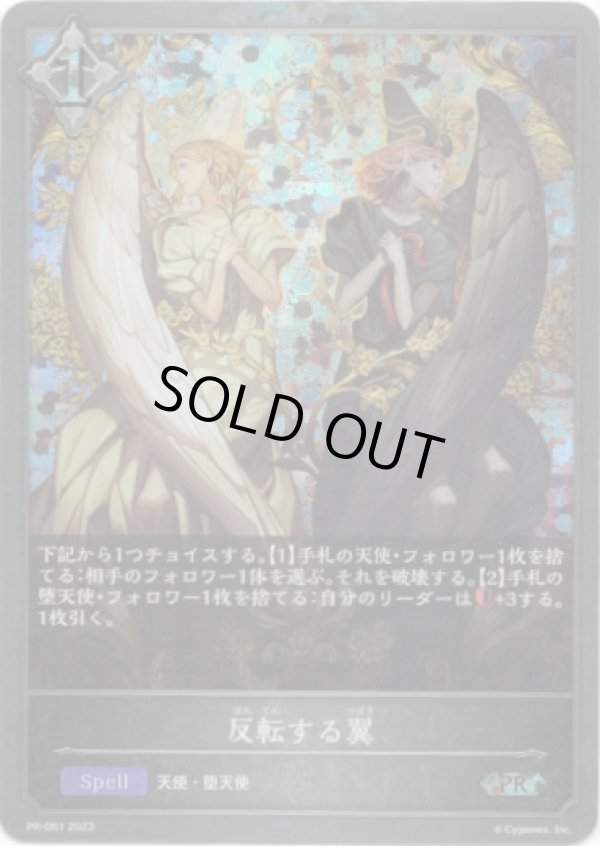 画像1: 【プレミアム】反転する翼 (1)