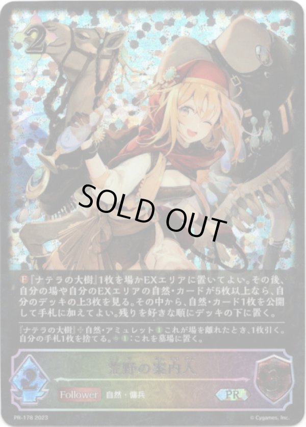 画像1: 【SL仕様】荒野の案内人 (1)