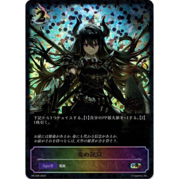 画像1: ※傷有り品（返品交換対象外）【CS2024】竜の託宣 (1)