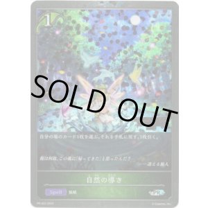 画像: 【CHAMPIONSHIP QUALIFIER2025】自然の導き