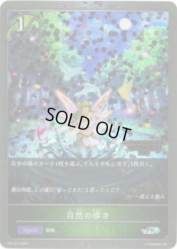 画像1: 【CHAMPIONSHIP QUALIFIER2025】自然の導き (1)