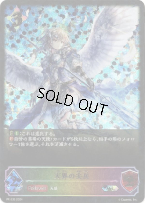 画像1: 【PR】【SL仕様】天界の尖兵 (1)