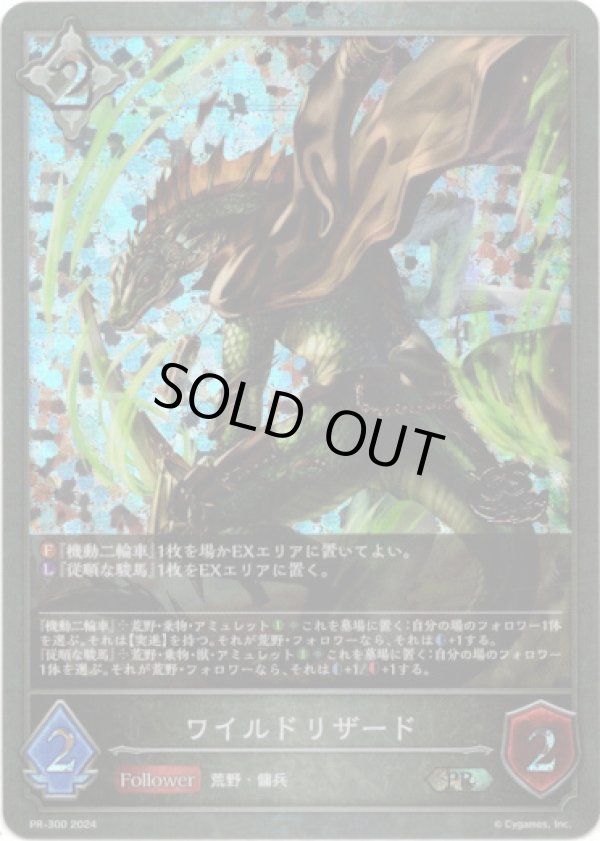 画像1: 【CS2024】ワイルドリザード (1)