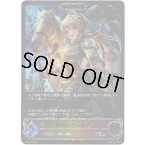 画像: 【PR】【SL仕様】【EVOLVE】自由なる冒険者