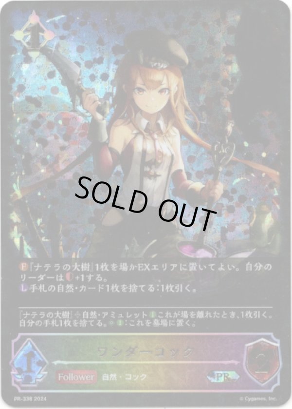 画像1: 【PR】【SL仕様】ワンダーコック (1)