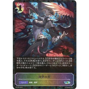 画像: 【CS2025】欲望の翼