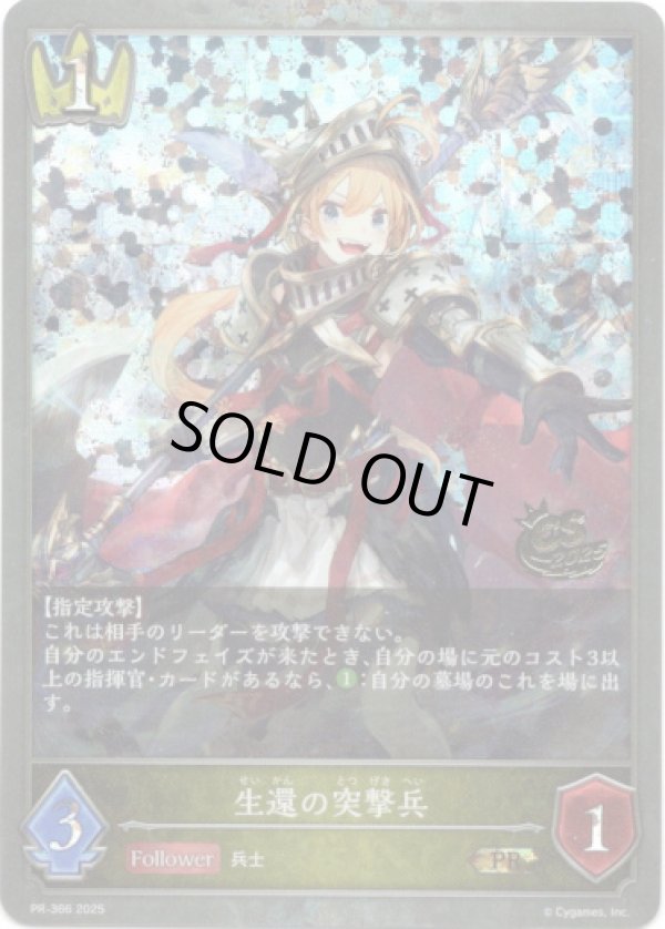 画像1: 【CS2025】生還の突撃兵 (1)