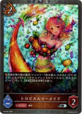 画像: 【PR】トロピカルマーメイド