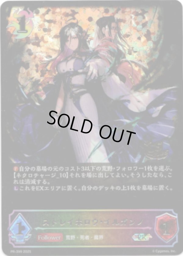 画像1: 【CS2025】ストレイホロウ・イルガンノ (1)