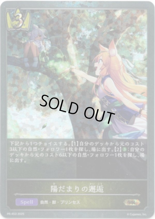 画像1: 【PR】陽だまりの邂逅 (1)