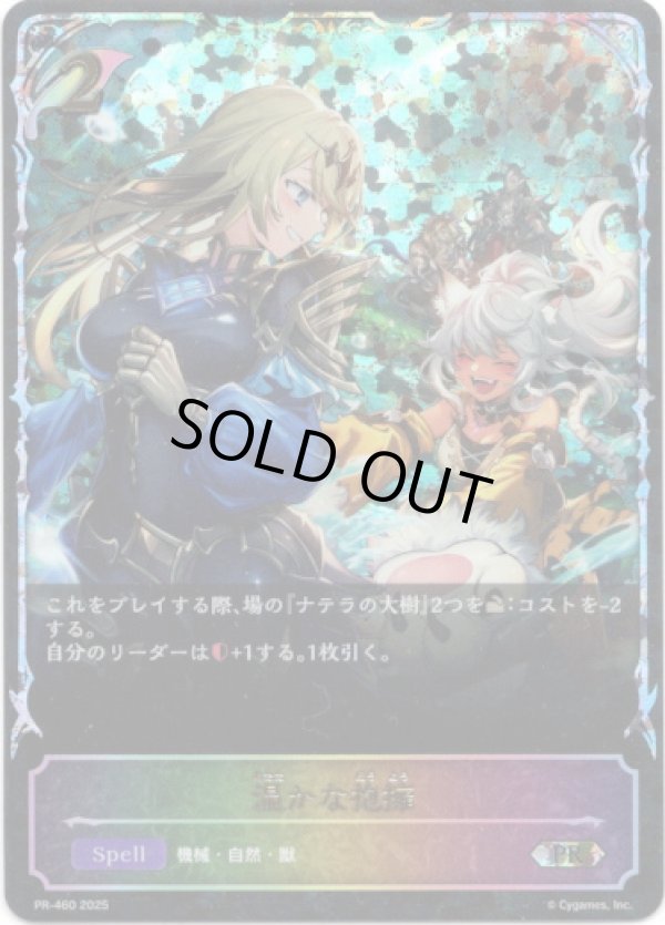 画像1: 【PR】【SL仕様】温かな抱擁 (1)