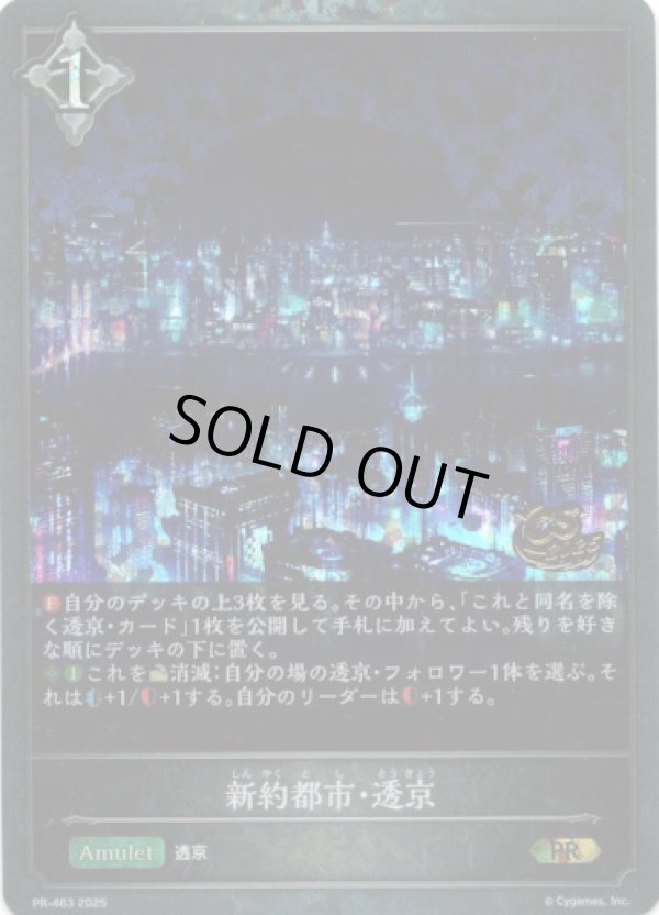 画像1: 【CS2025】新約都市・透京 (1)